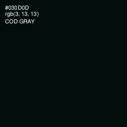 #030D0D - Cod Gray Color Image